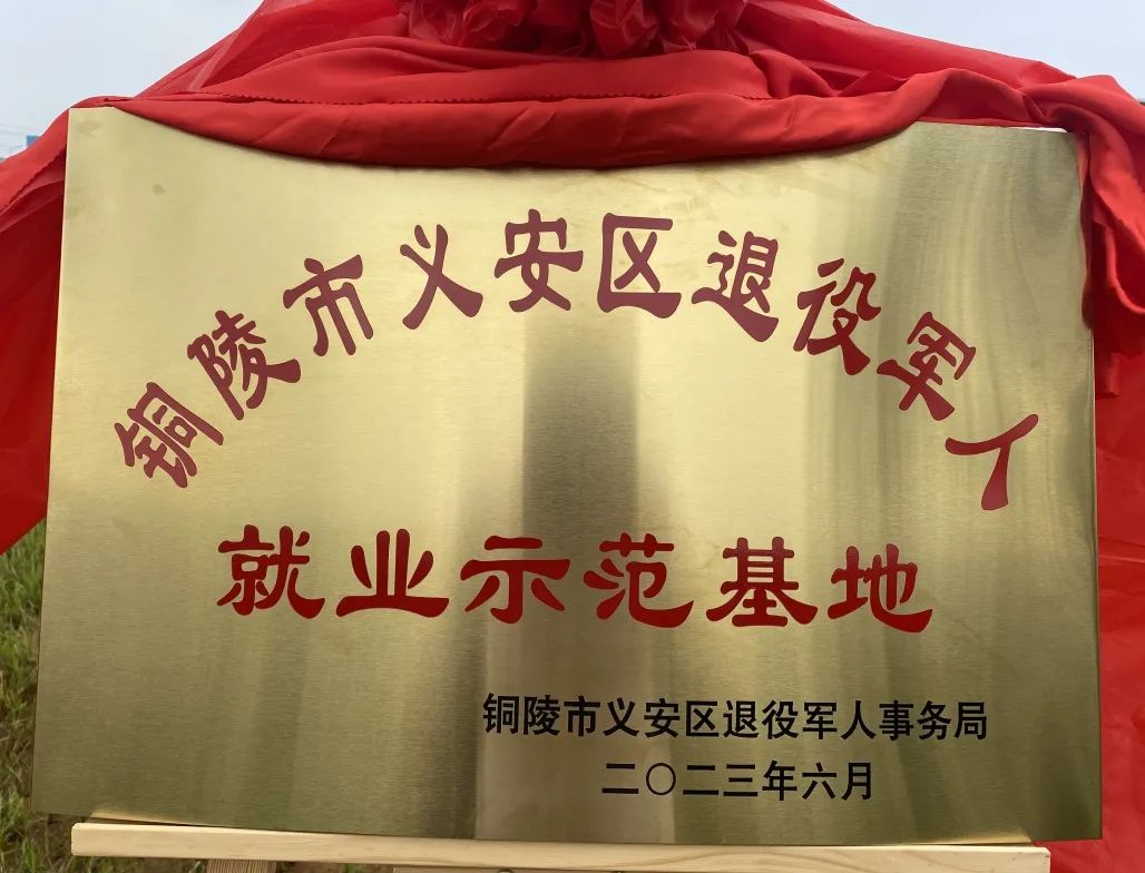 玩彩网·「中国区」官方网站